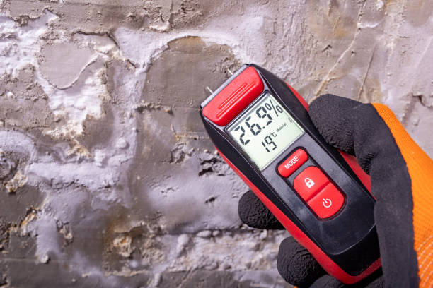 Best DIY Mold Remediation Support Services in Holdenville, OK