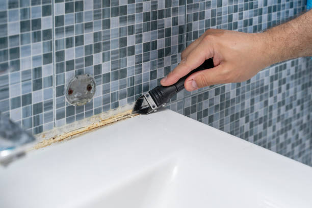 Best Mold Remediation for Specific Building Types in Holdenville, OK