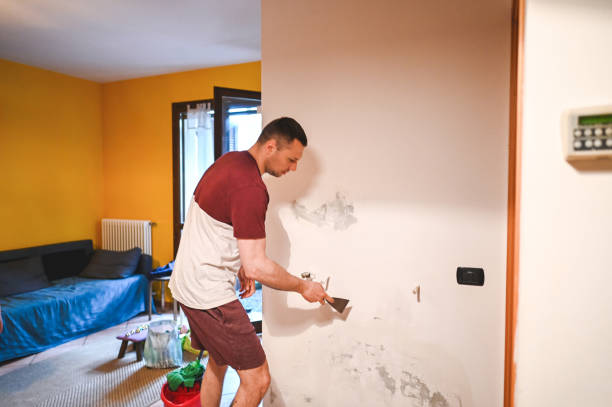 Best Health and Safety Mold Remediation in Holdenville, OK